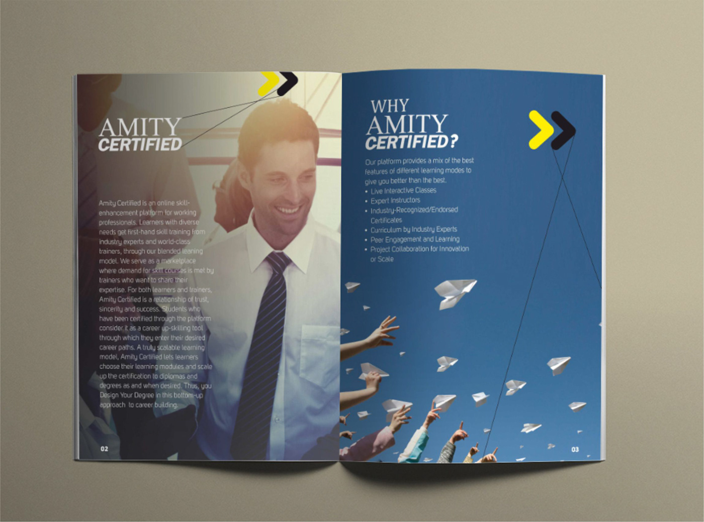Amity-Brochure2